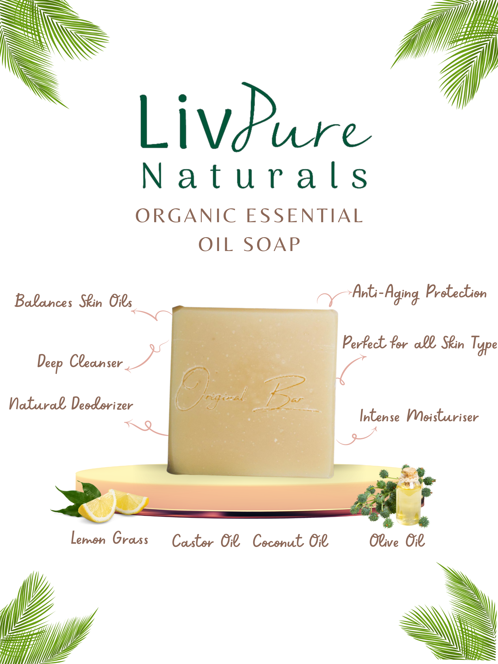 The Original Soap Bar